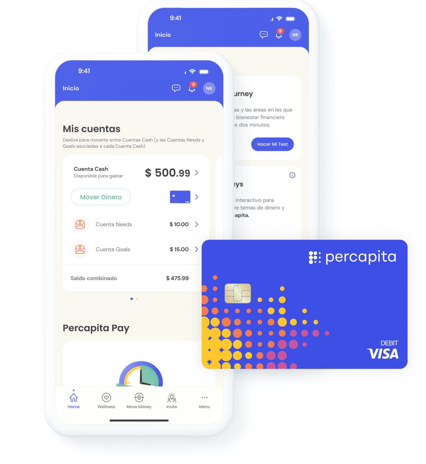 Application UI and Debit Visa Card